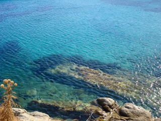 Poster - Beach in Mykonos under  the blue sky