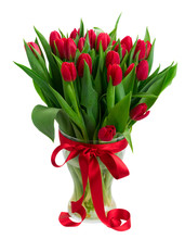 Fresh Red Tulips With Green Leaves In Vase Isolated On White Background