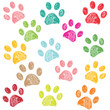 Colorful paw print