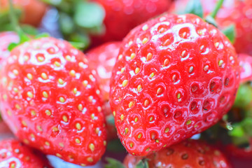 Wall Mural - Strawberry. Fresh strawberry. Red strewberry.