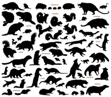 Small Mammals Of The Northern Lands Vector Silhouettes Collection