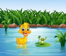 Cartoon Funny Duck With Frog
