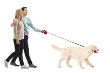Happy Young Couple Walking A Dog