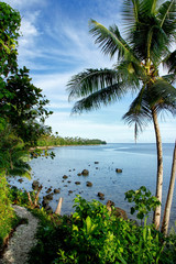 Poster - Ocean view along Lavena Costal Walk on Taveuni Island, Fiji