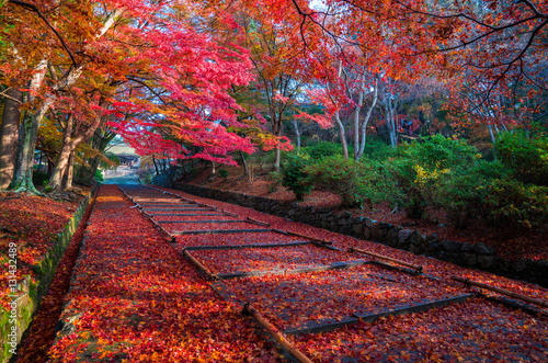 京都毘沙門堂の紅葉 Buy This Stock Photo And Explore Similar Images At Adobe Stock Adobe Stock 京都毘沙門堂の紅葉 Buy This Stock Photo And Explore Similar Images At Adobe Stock Adobe Stock