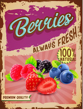 Berries Vintage Banner