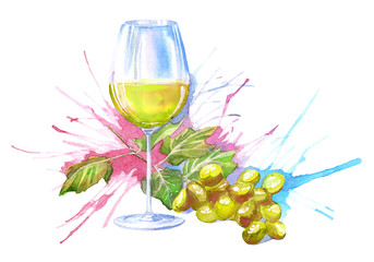 Glass cup of a white wine and grape.Drink painting.Watercolor hand drawn illustration.