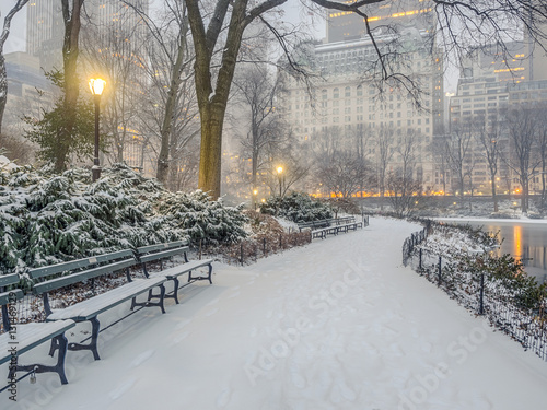 Central Park, New York City Snow Storm Wall Mural ...