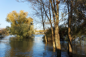 Canvas Print - inondation sur berges de Seine en banlieue de Paris