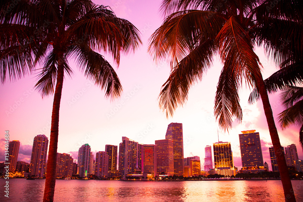 Miami Florida skyline and bay at sunset through two palm trees.  - obrazy, fototapety, plakaty 