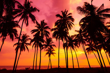 Wall Mural - Palm trees silhouettes on tropical beach at vivid sunset time