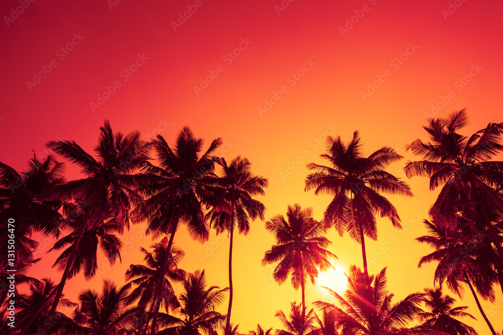 Palm trees silhouettes on tropical beach at summer warm vivid sunset time with clear sky and sun circle with rays - obrazy, fototapety, plakaty 