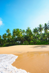 Wall Mural - Beautiful beach on tropical island with coconut palm trees and clean sand at clear summer day