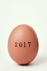 Wall Mural - egg with the number 2017, as the new year