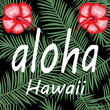 aloha Hawaii hibiscus palm leaves Illustration vector