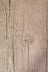 Old grunge painted wooden surface closeup as background