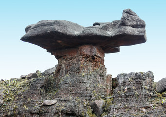 A fragment of the plateau of Roraima tepui - Venezuela, South America