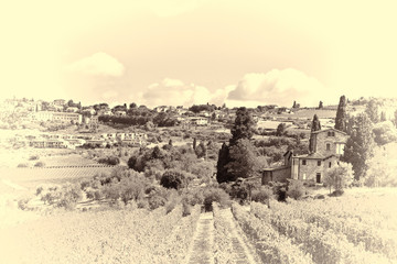 Canvas Print - Vineyard near City