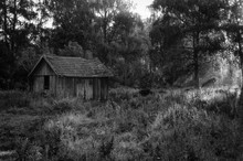 Abandoned Old Cottage In Forest