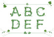 Alphabet letters from the leaves in Patrick day or spring and summer style. Alphabet set with letter a, b, c, d, e, f with strawberrie, grape and clover leaves. Green font isolated on white background