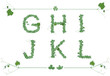 Alphabet letters from the leaves in Patricks day or spring and summer style. Alphabet set with letter g, h, i, j, k, l with strawberries, grapes and clover leaves