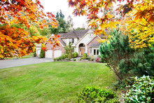 Suburban Home In Early Autumn As The Leaves Begin To Turn