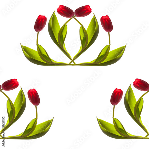seamless pattern beautiful elegant red tulips