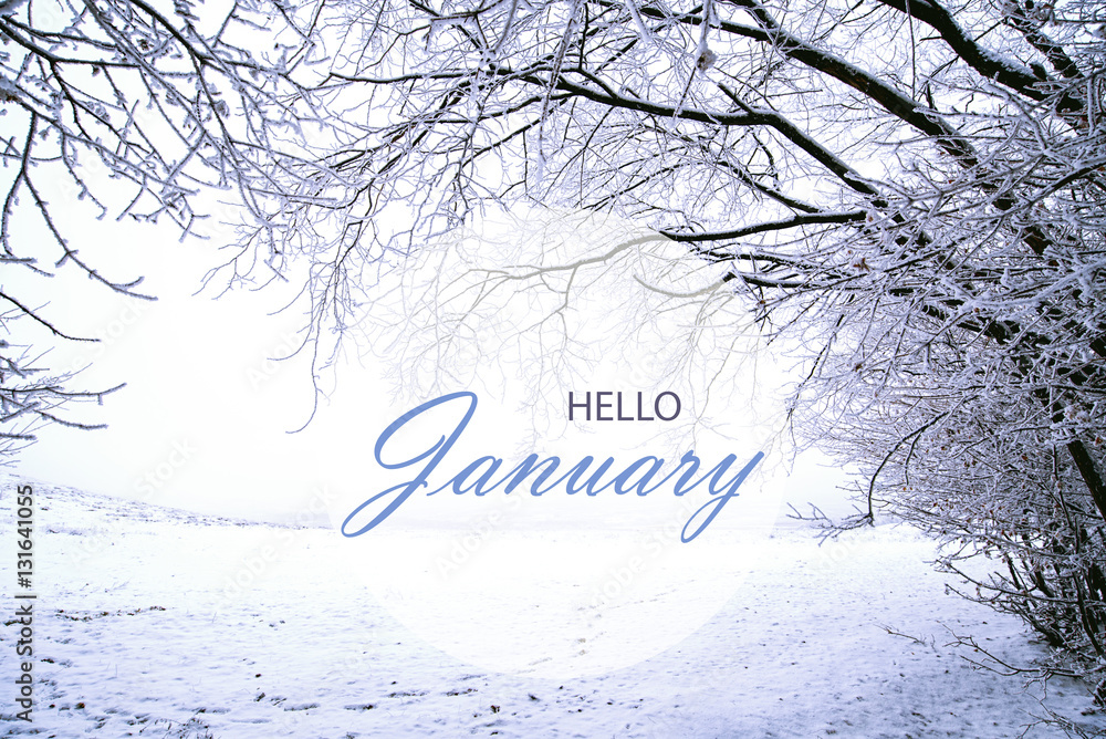 Hello January wallpaper, winter landscape with frozen, snowy forest ...