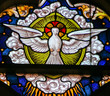 Stained Glass - Dove, Holy Spirit