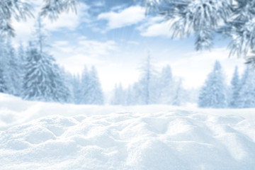 Wall Mural - winter time and snow space