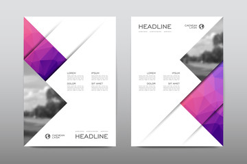 Wall Mural - Brochure layout template flyer design vector, Magazine booklet cover abstract background