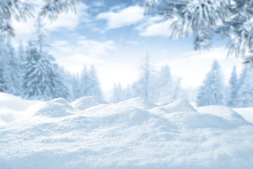 Wall Mural - winter time and snow space