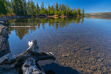 Wall Mural - Lewis Lake, Yellowstone National Park, Wyoming