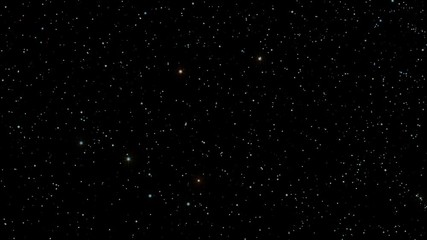 Wall Mural - Night Sky 005: A star field twinkles in a night sky (Loop).