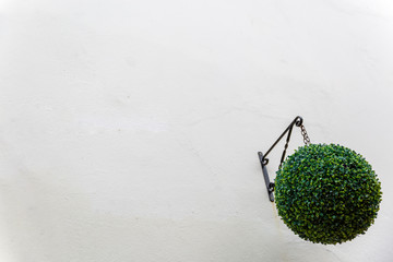 Natural round green ornament on a white background