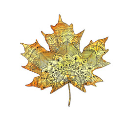 bright orange watercolor autumn maple leaf in zentangle style