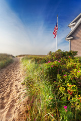 Wall Mural - Well trodden path through sand dunes to a Maine beach in early morning summer sunshine