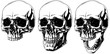 Scary graphic human skull with black eyes set