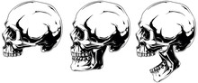 White Human Skull In Profile Projection Set