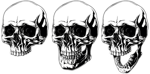 scary graphic human skull with black eyes set