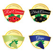 © dramaj - label of fruit currant and grape illustration in colorful