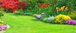 Garten Panorama mit Rasenfläche, Azalee, Tulpen im Frühling