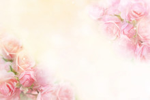Beautiful Pink Roses Flower Border Soft Background For Valentine In Pastel Tone 