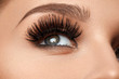 © puhhha - Long Black Eyelashes. Closeup Beautiful Female Eye With Makeup