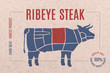 Label for beef steak meat with text Ribeye Steak. Creative graphic design for butcher shop, farmer market. Advertising poster for meat related theme. Vector Illustration