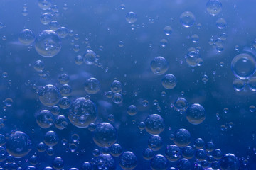 Wall Mural - World of bubbles - Blue