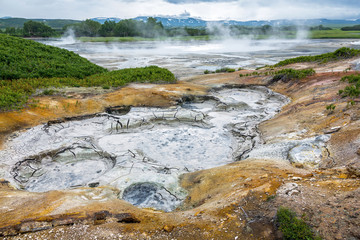 Wall Mural - Mud cauldron in the volcanic caldera Uzon - Legendary Valley of Geysers, Kamchatka, Russia