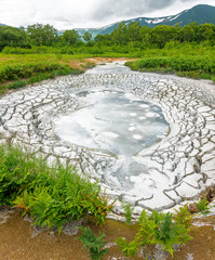 Wall Mural - Mud cauldron in the volcanic caldera Uzon - Legendary Valley of Geysers, Kamchatka, Russia