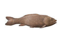 Wood Fish Model On White Background