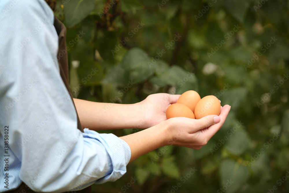 Female hands holding raw eggs, closeup